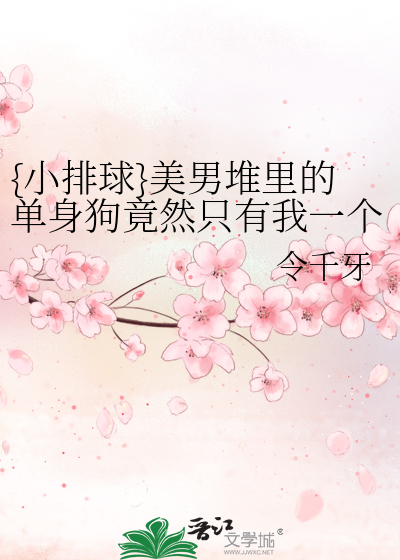 小排球是什么番