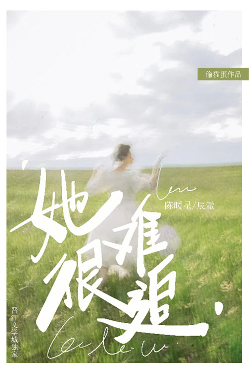 她很难追免费阅读