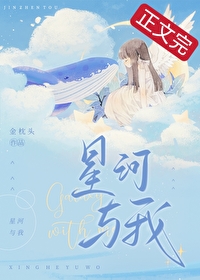 星河与我金枕头小说免费阅读全文