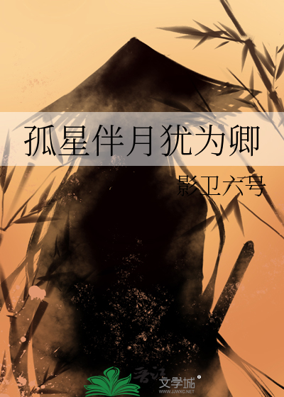 孤星伴月小说