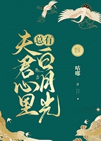夫君他心有白月光txt