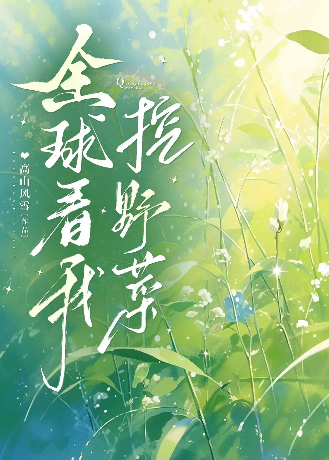 全球挖宝 作者:冰零零零