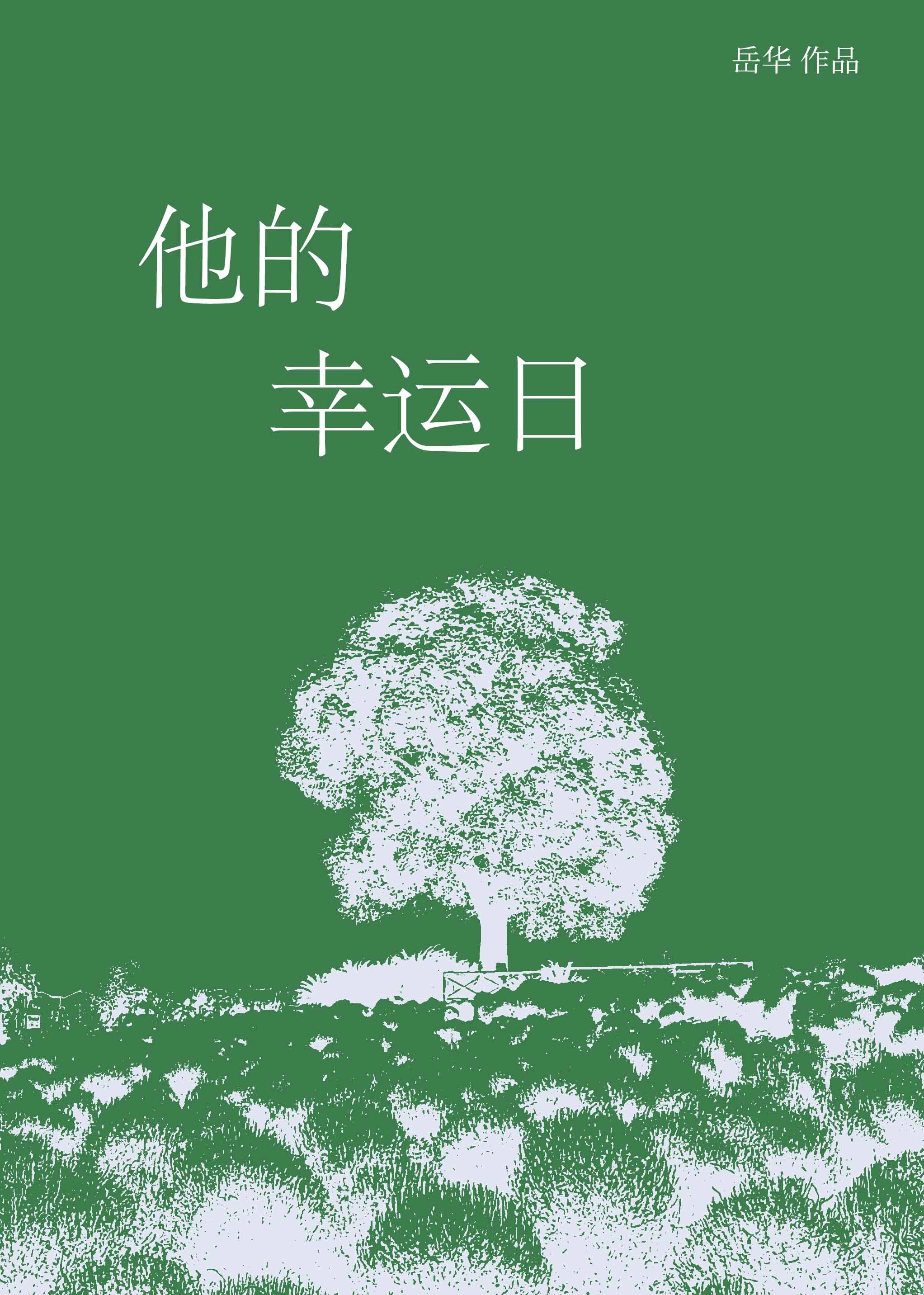 他的小幸运小说