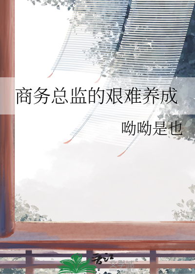 商务总监是什么级别
