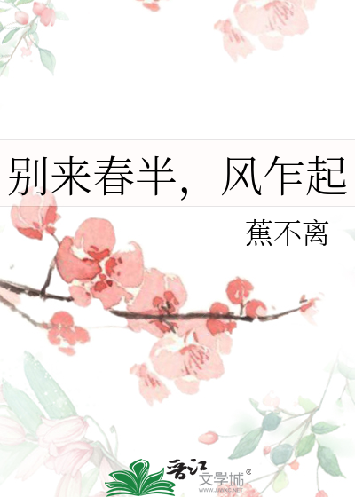 风乍起小说
