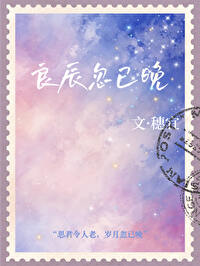 良辰未迟简介