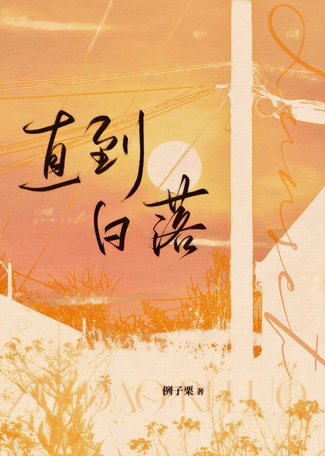 直到日落日语歌曲故事