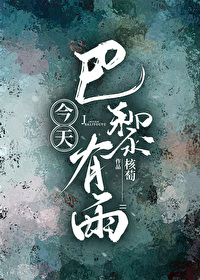 今天巴黎有雨 小说