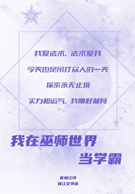 我在巫师世界当学霸TXT