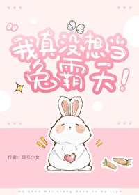 我真没想当兔霸天免费阅读