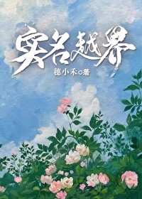 实名越界穗小禾免费阅读