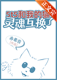与猫灵魂互换