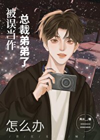 误把总裁当司机是什么电视剧