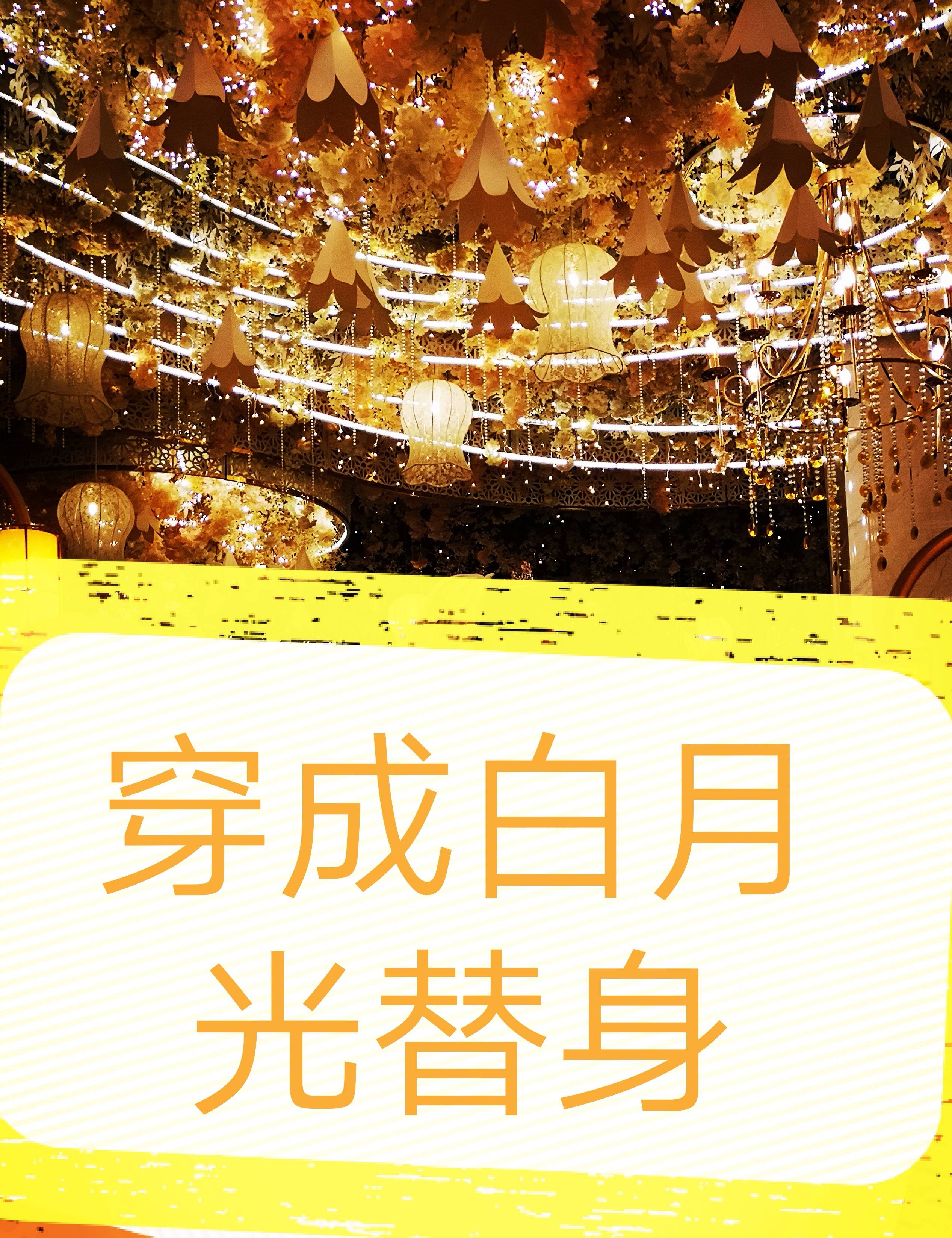 替身的美好生活txt苹果烤肉