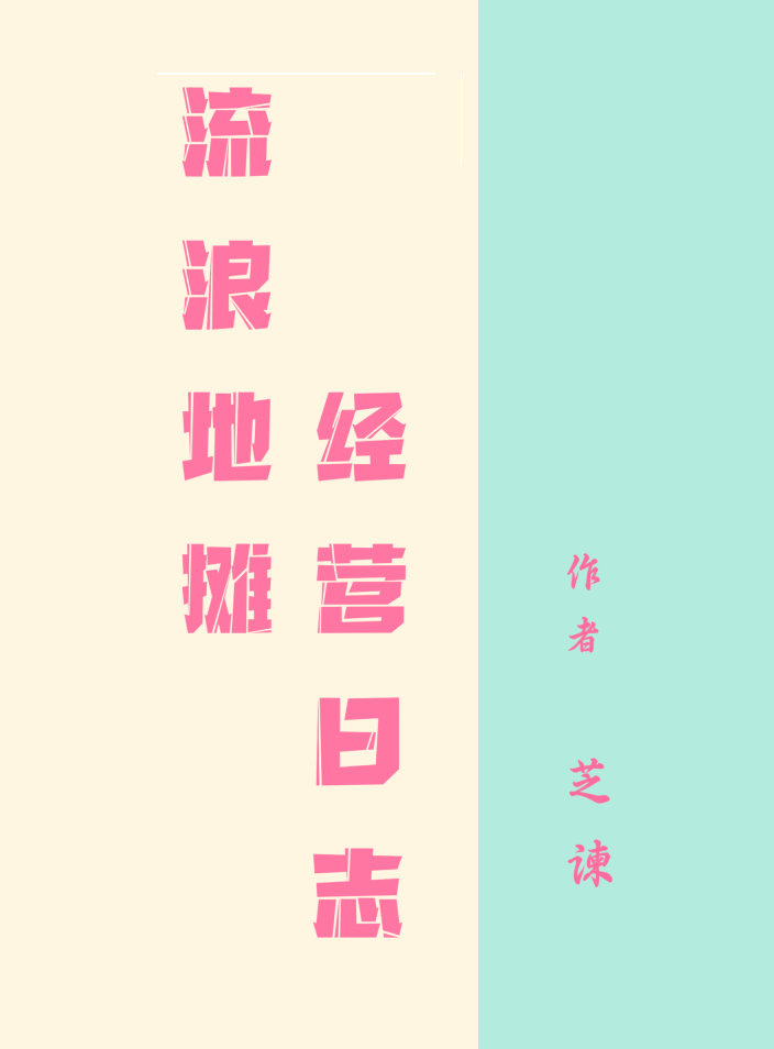流浪地摊经营日志内容