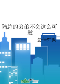 陆总的第一宠妻小说免费阅