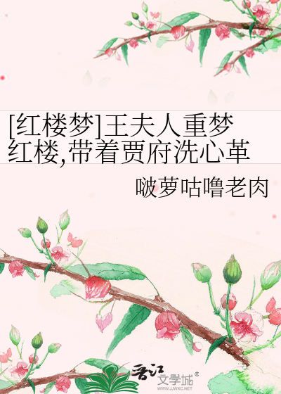 红楼梦王夫人原文摘录