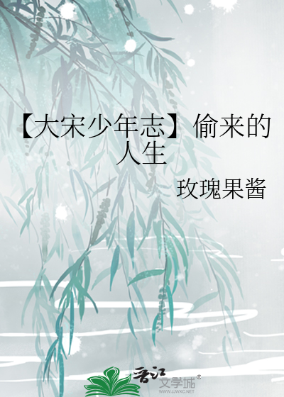 《大宋少年志》小说