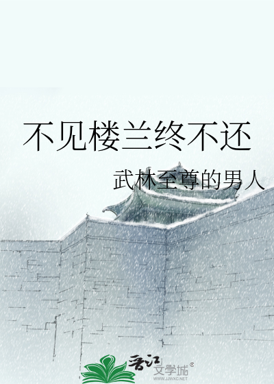 不见楼兰终不还小说