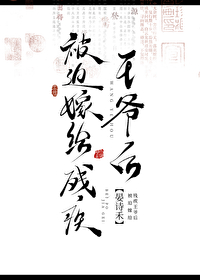 穿越王妃嫁给残疾王爷
