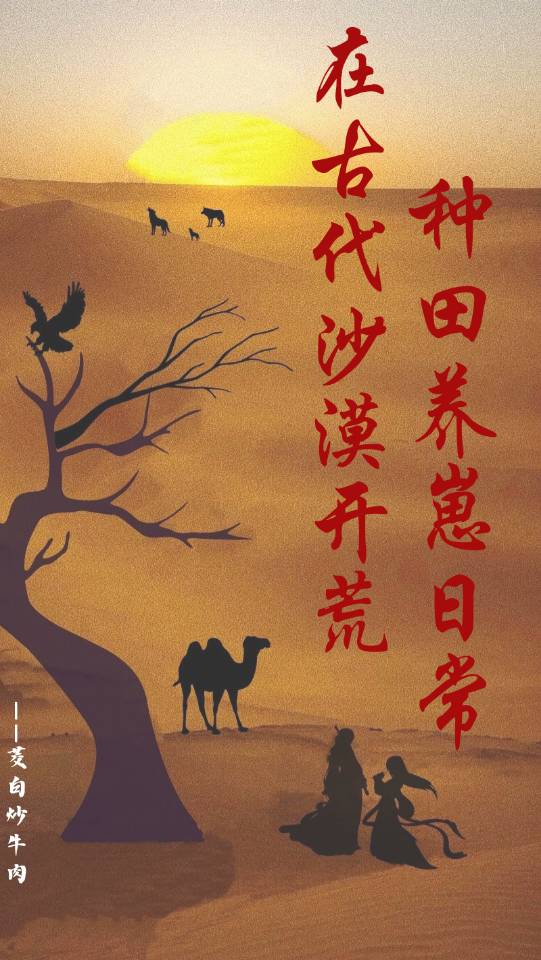 沙漠种田文小说
