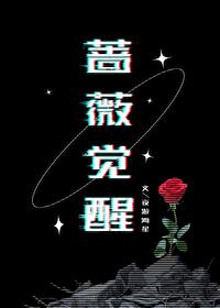 蔷薇获取