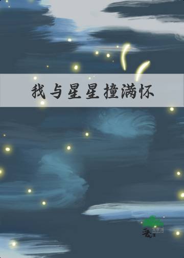 我与星星的故事作文600字