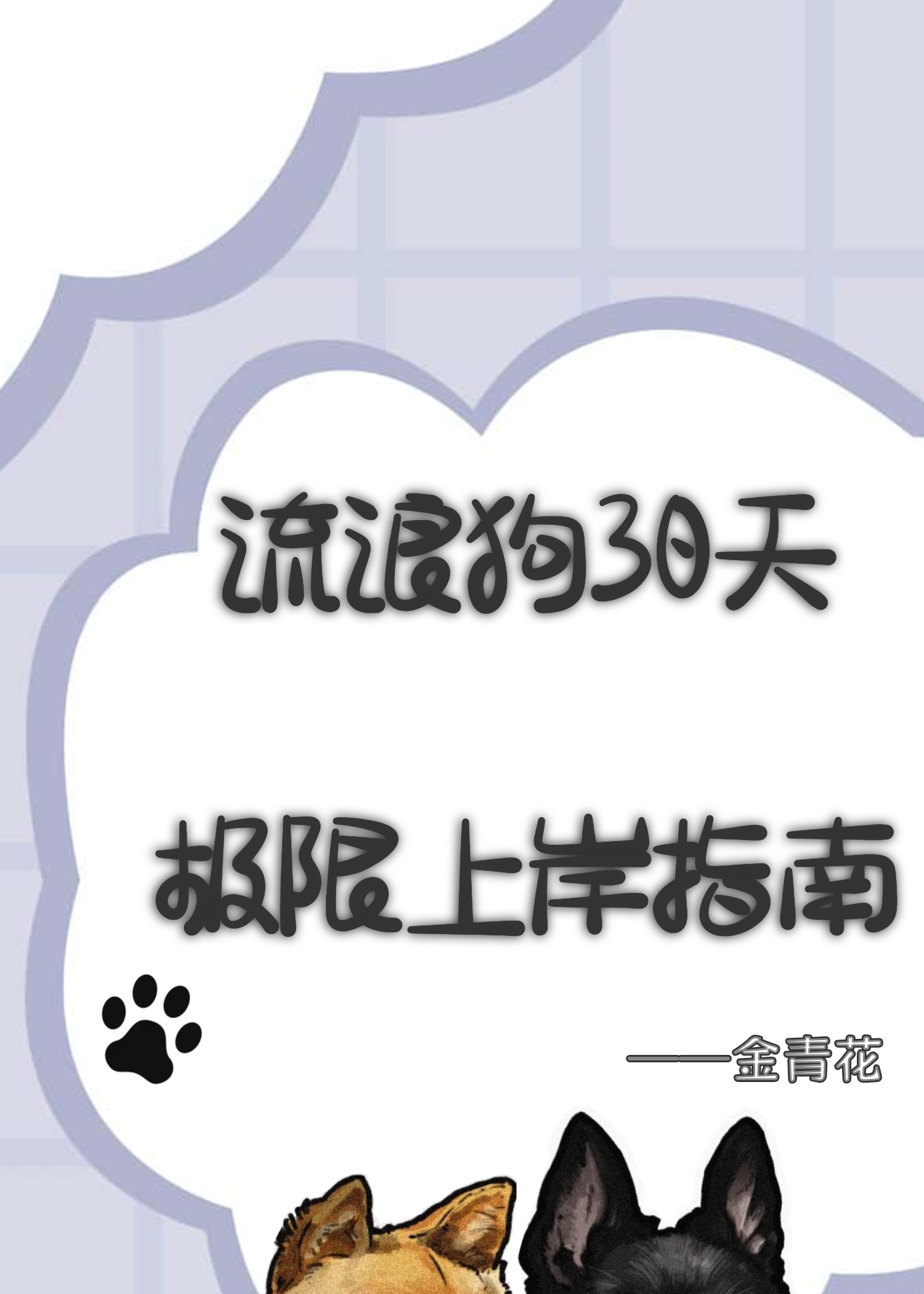 流浪狗的33天