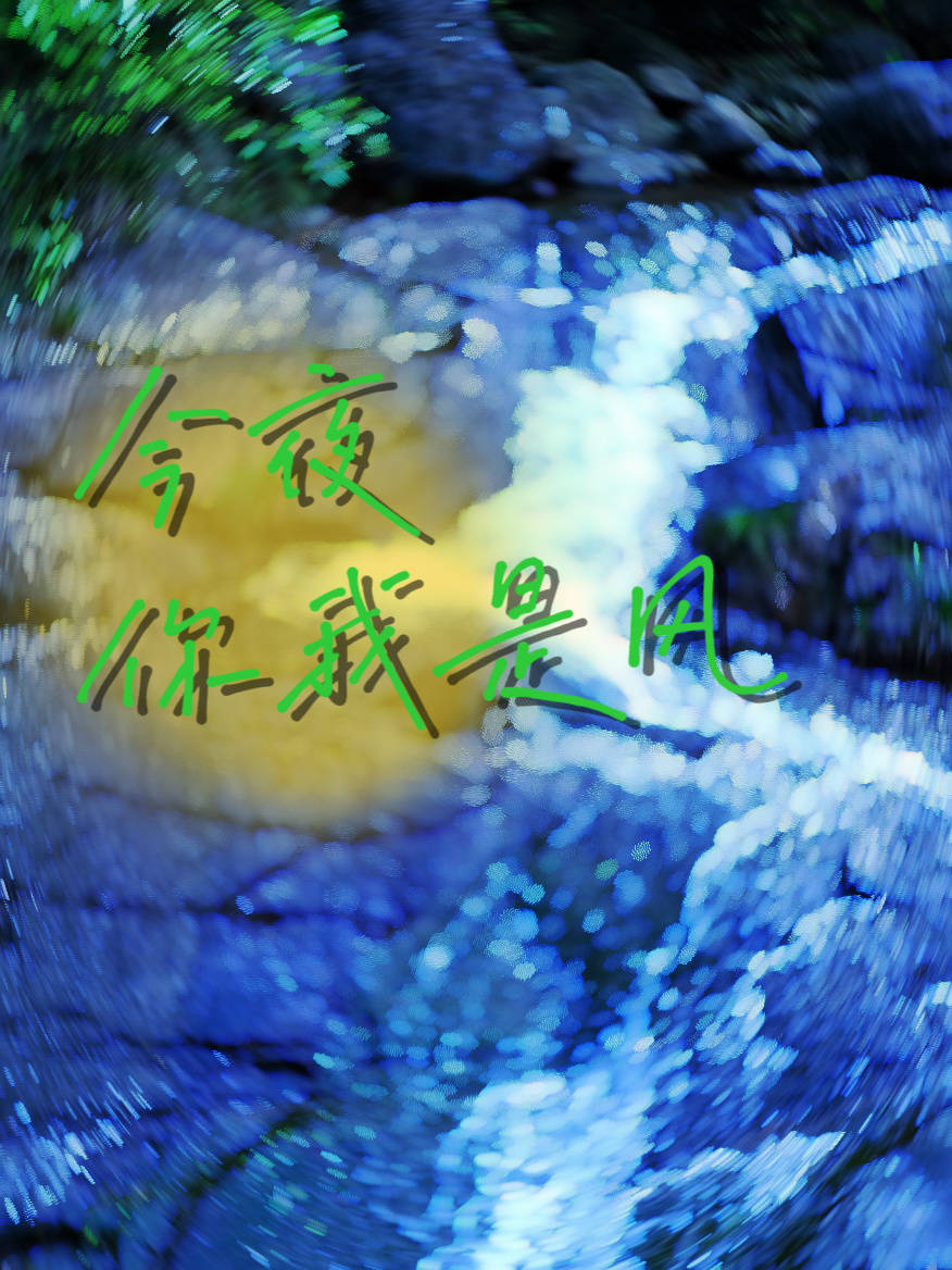 今夜你是我的郎啥歌
