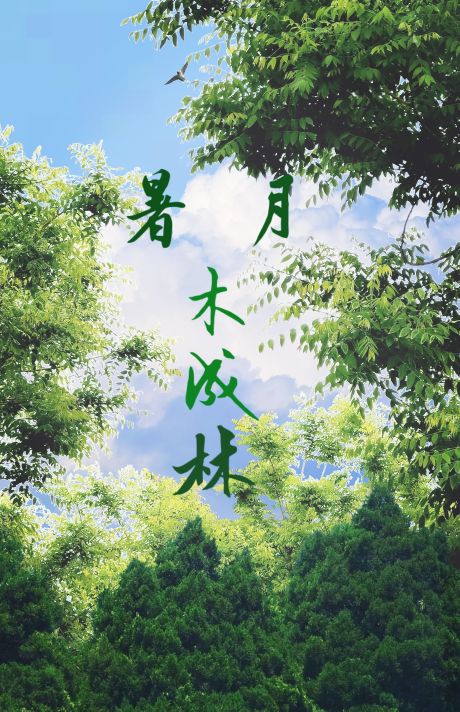 秀木成林的小说