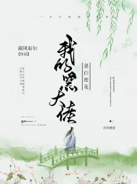 我成了大佬的黑白光