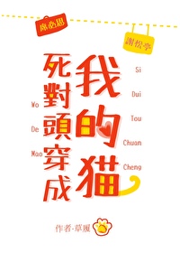 死对头穿成我的猫草履