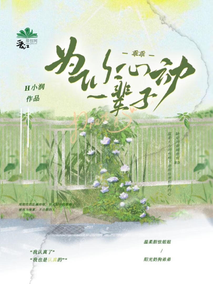 下完这场雨小说碎厌