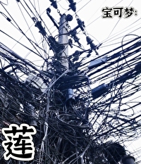 宝可梦莲叶童子性格