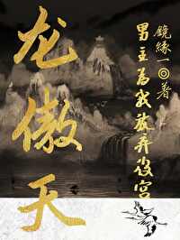 男主龙傲天的小说叫什么