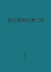 领主拥有任意门后的小说