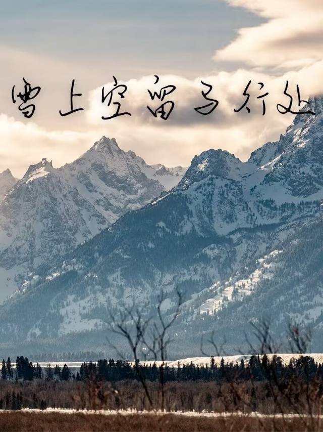 雪上空留马行处处读音