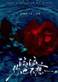 皎皎新文