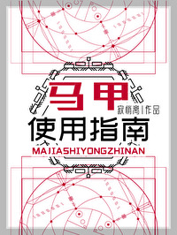 马甲使用指南最新