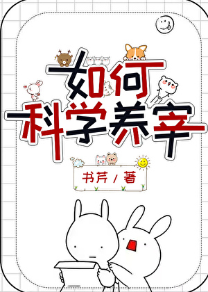 在提灯而来的夜什么意思