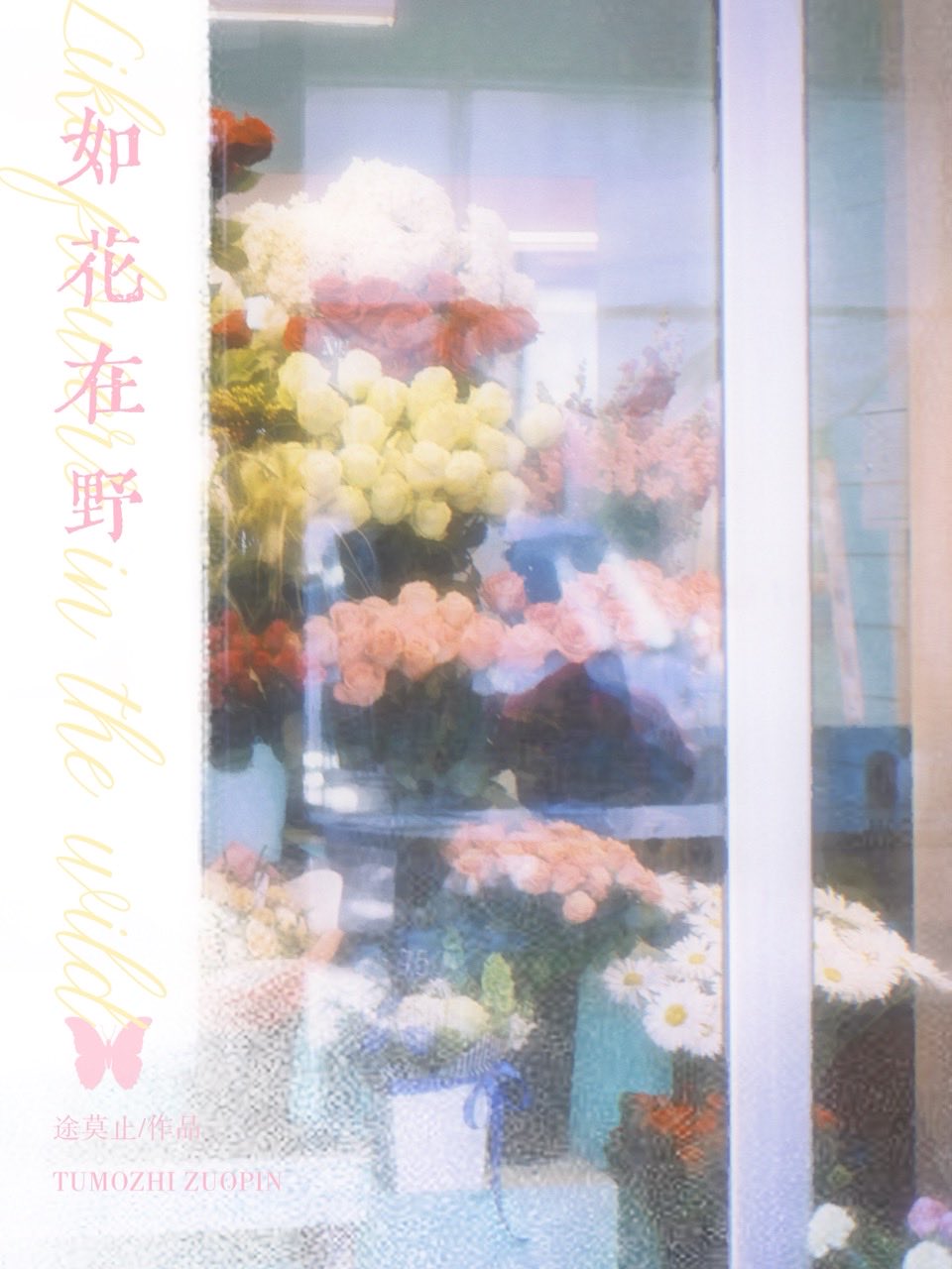 如花在野田中昭光读后感