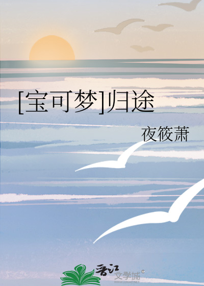 宝可梦旅途47集