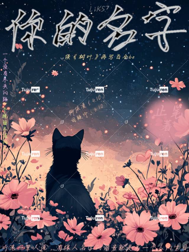 霸道总裁重生归来秒变妻奴