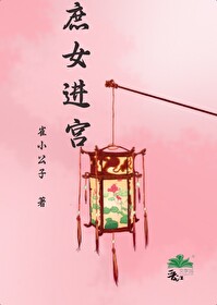 庶女入宫
