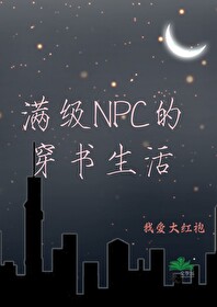 我成了满级npc