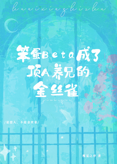 时间煮雨第二部