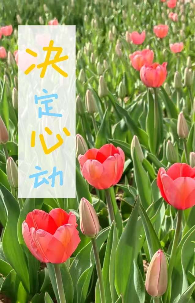你又踩到我脚了
